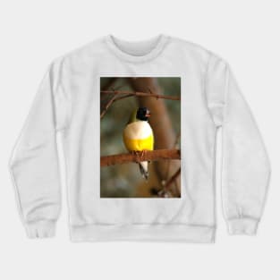 Gouldian Finch Crewneck Sweatshirt